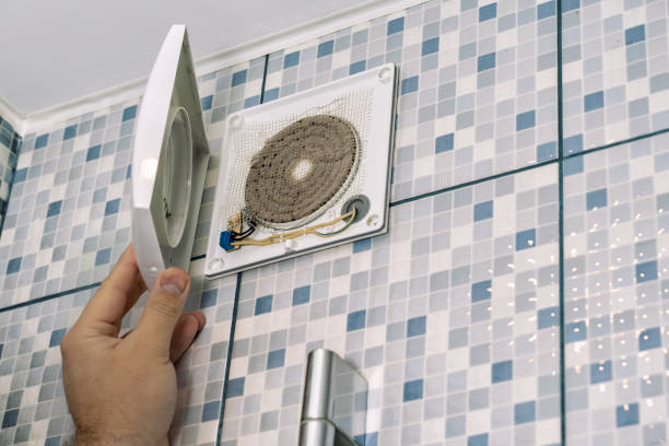 Best Local Air Duct Cleaning Services  in Mayville, NY