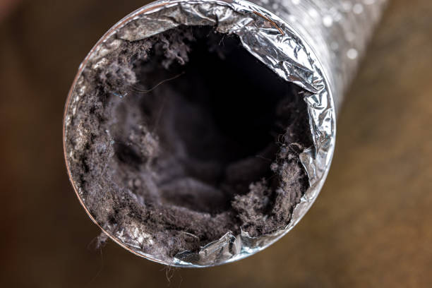 Best Professional Duct Cleaning Services  in Mayville, NY