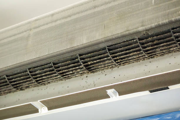 Best HVAC Maintenance and Cleaning  in Mayville, NY